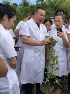 识药认药